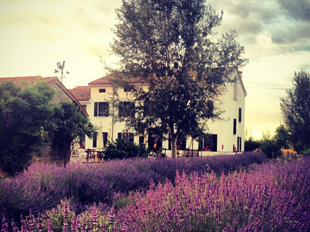 Agriturismo Viridarium Castellucchio Exterior photo